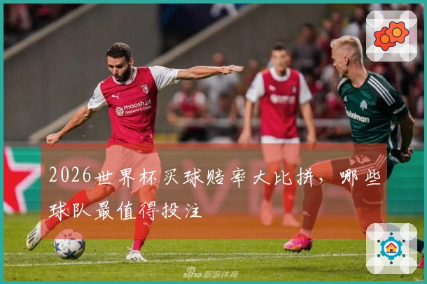 2026世界杯买球赔率大比拼，哪些球队最值得投注