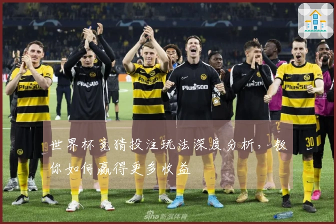 世界杯竞猜投注玩法深度分析，教你如何赢得更多收益