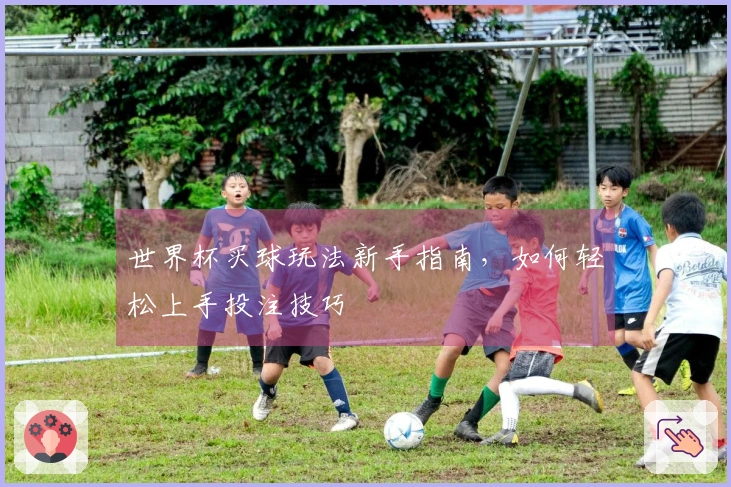 世界杯买球玩法新手指南，如何轻松上手投注技巧