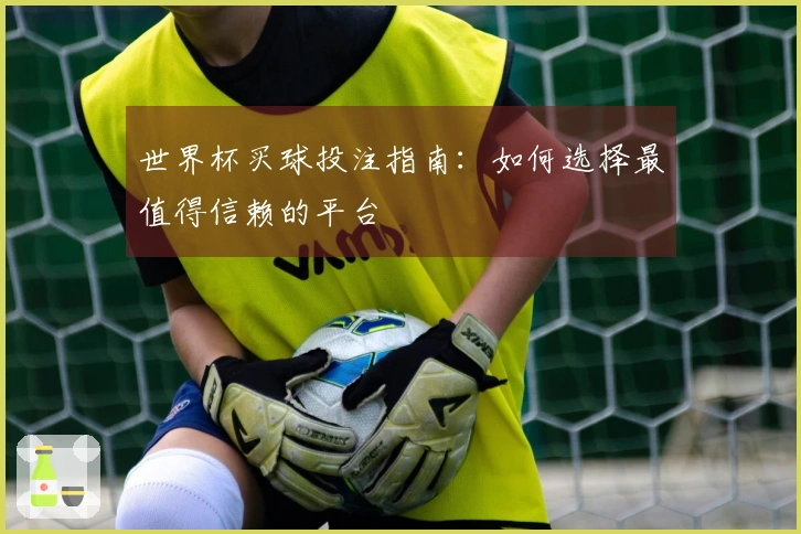 世界杯买球投注指南：如何选择最值得信赖的平台